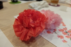 DSCF8073