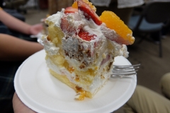 DSCF8806