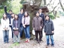 Cherry-blossom viewing 2016